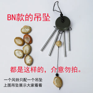 Spirit of the wind-log-green BN