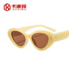 Wholesale Cat Eye Jelly PC Sunglasses