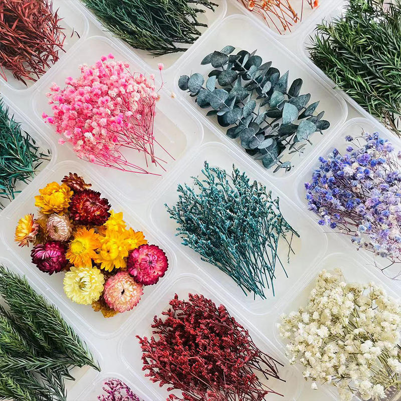 Wholesale ied Ft Cinnamon ied Flowers Diy Material Package Natural Plant Candle Handmade Plaster Making Decoration
