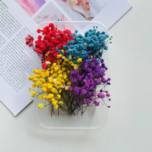Mixed color gypsophila 10g