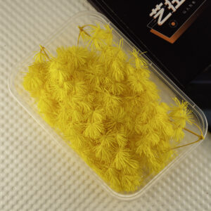 Yellow penglai pine 10g