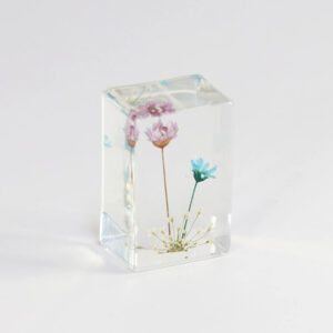 Purple + blue star flower (6 starting shots)