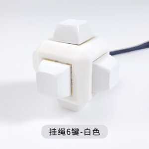 Six keys white (with lanyard)