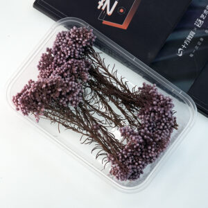 Taro purple xiaomi flower 10g