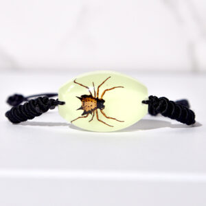 Glow-in-the-dark corner spider