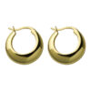 O1CN01yt5R7b1FpzYaP7hgr_2211684520537-0-cib Wholesale Crescent-shaped Hoop Earrings