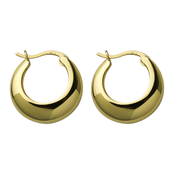 O1CN01yt5R7b1FpzYaP7hgr_2211684520537-0-cib Wholesale Crescent-shaped Hoop Earrings