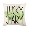 Wholesale of Green St. Patrick's Day Polyester Pillow Covers