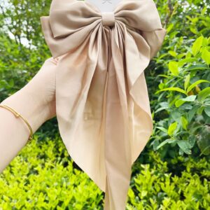 Champagne-Scarf Bow