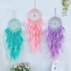 Wholesale Colorful Feather Dream Catcher Decoration