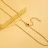 1-Piece-Solid-Color-Necklace-Stainless-Steel-Titanium-Steel-Vacuum-Plating-18K-Gold-Plated-Women-S-Box-Chain-Snake-Chain-Simple-Style-main-image-8 1 Piece Solid Color Necklace Stainless Steel Titanium Steel Vacuum Plating 18K Gold Plated Women'S Box Chain Snake Chain Simple Style