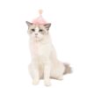 Wholesale Pet cat dog rabbit lace crown headpiece photo prop