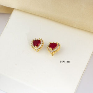 Earrings tz-8039