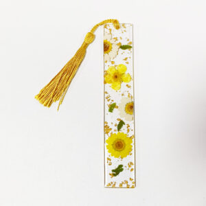 Yellow and white daisies