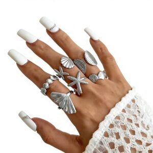 6 pieces of silver shells