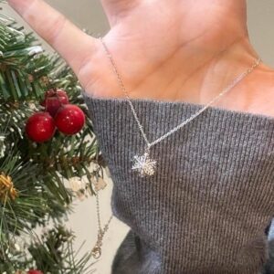 Xl691-silver