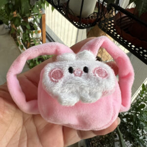 Cute red blush piggy bag