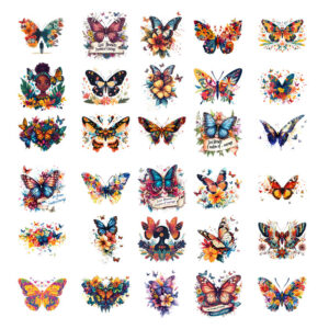 HD-B Collection