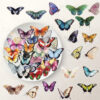 Wholesale 50pcs Colorful Elegant Butterfly Series