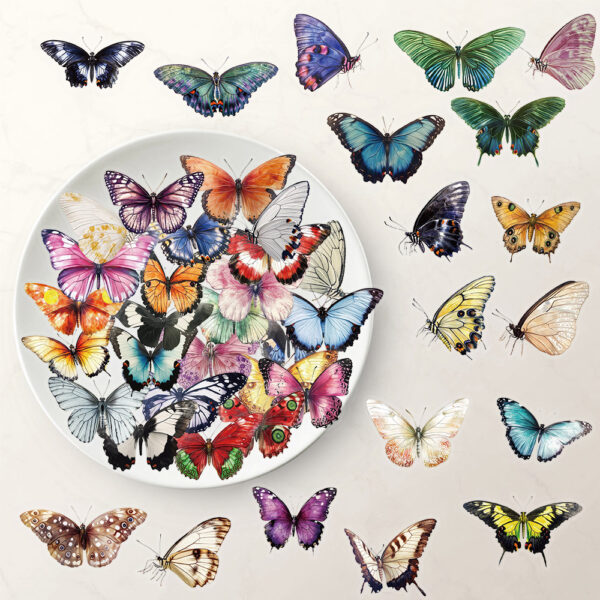 Wholesale 50pcs Colorful Elegant Butterfly Series