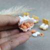 Wholesale Miniature food toy e preservation box