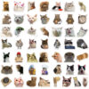 Wholesale 50pcs Cartoon Cute Cat Emojis Graffiti Waterproof Vinyl Stickers