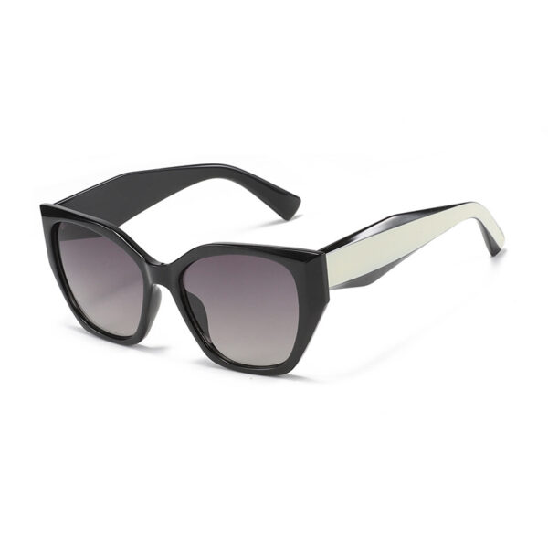 Wholesale Cat's Eye Sunglasses Wide Leg double Color All-match Street Photoshoot Sunglasses