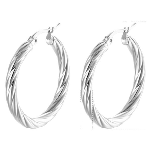 O1CN01EKPTLN1FRii6JHvIE_2218660980484-0-cib Wholesale geometric silver-plated stainless steel earrings light luxury earrings