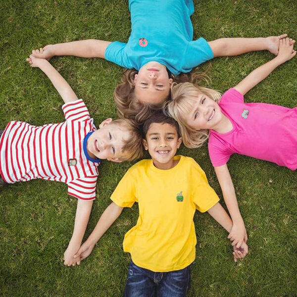 Wholesale Cute Dessert Embroider Cloth Stickers Star Biscuit Stickers Clothes Decoration