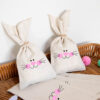 Wholesale Easter Bunny Party Gift Bag