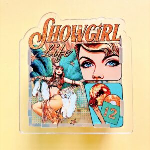 B561-taylor swift pen holder