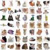 Wholesale 50pcs Cartoon Cat Emoji Watermark Vinyl Stickers