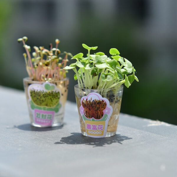 Wholesale 4pcs Creative Grass Pen Rich Flowers Black Gel Pen DIY Mini Potted Pen