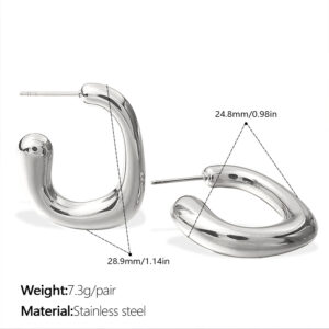 Eh1038s silver earrings