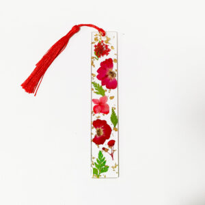Red rose