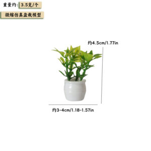 Fine leaf potted plant