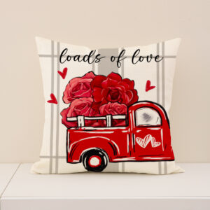 45x45cm (pillowcase only) / VP009-1