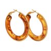 O1CN01MpbSzv1P9XAuubpJX_2218506891798-0-cib Wholesale Stainless Steel Earrings Resin Hoops Luxury Earrings
