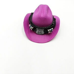 Purple cowboy hat highway no. 66 / L code