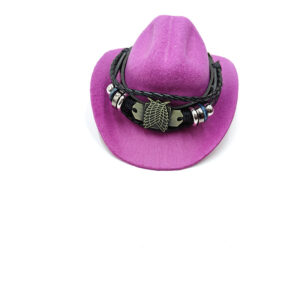Purple cowboy hat retro wings of freedom / L code