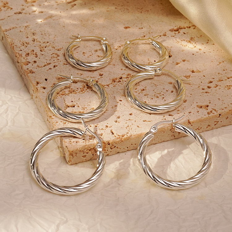 Wholesale geometric sier-plated stainless steel earrings light luxury earrings