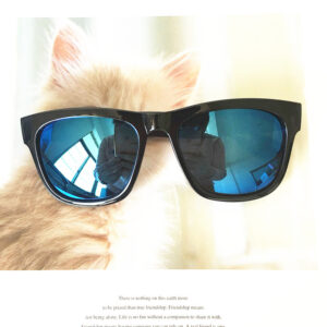 Bright Black Ice Blue Mercury