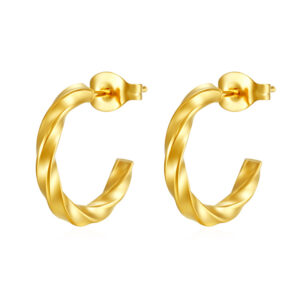 Wholesale Titanium Steel Geometric Women's Earrings Luxury Style