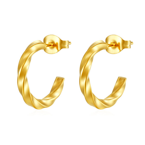 Wholesale Titanium Steel Geometric Women's Earrings Luxury Style