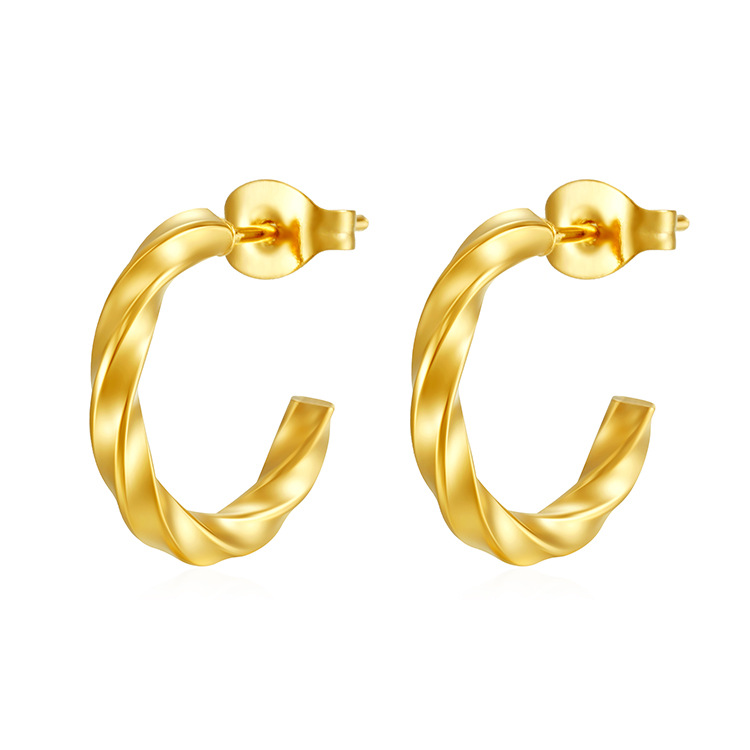 Wholesale Titanium Steel Geometric Women's Earrings Luxury Style