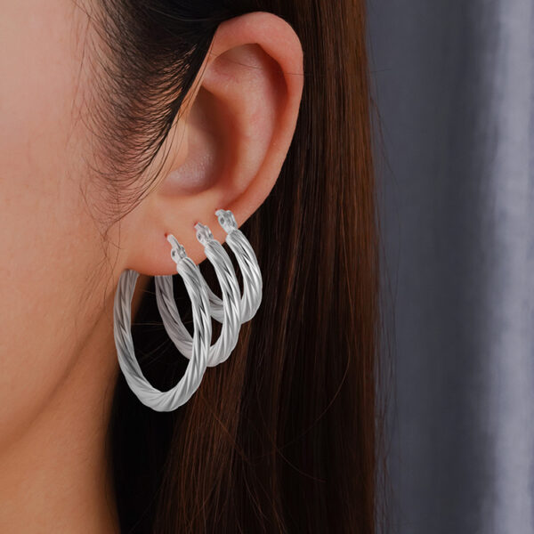O1CN01WYch9L1FRii7EzWWc_2218660980484-0-cib Wholesale geometric silver-plated stainless steel earrings light luxury earrings