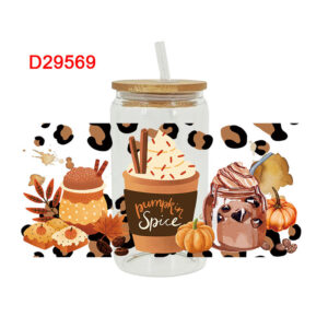D29569