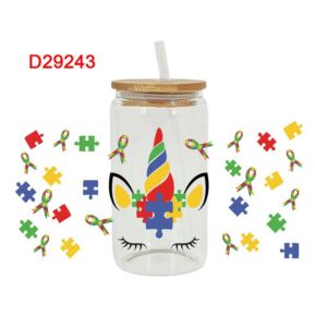 D29243