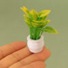 Wholesale Miniature green plants potted plants living room Doll Accessories