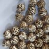 O1CN01a7VHf41QErIFT7rfy_2201245431945-0-cib Wholesale 5pcs 20mm Acrylic Cute Coffee Color Small Leopard Print Beads